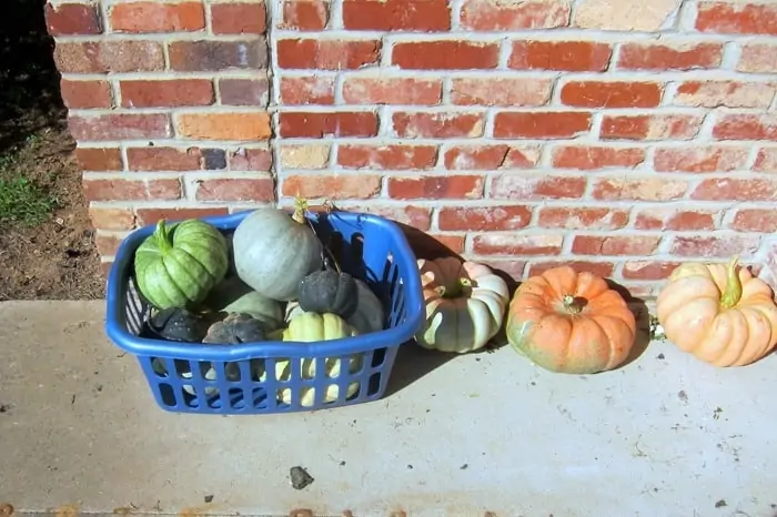 How To Decorate The Porch For Fall With Mums And Vintage Finds (3)