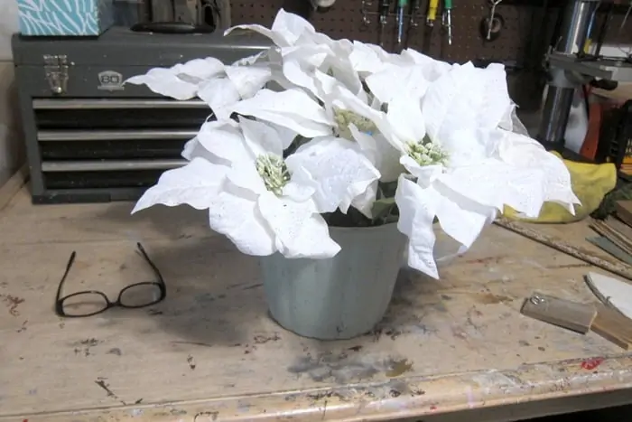 faux white poinsettias