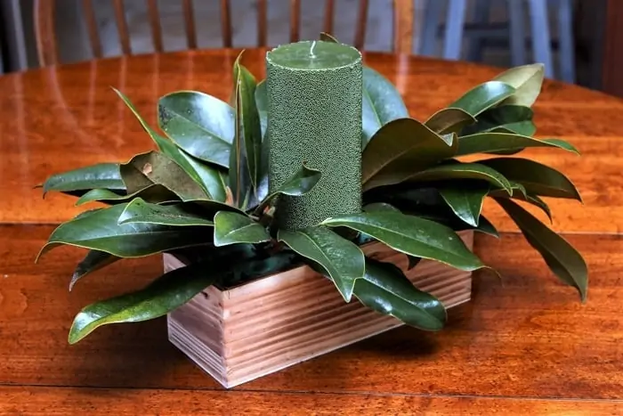 how to recycle a centerpiece with magnolia leaves