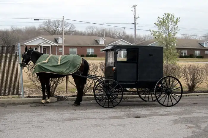 Amish horse and buggy