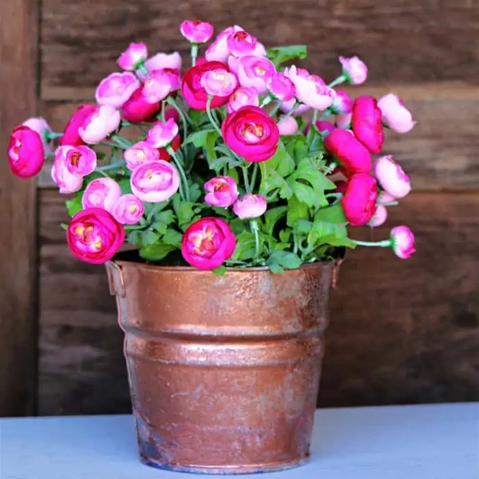 Faux Gold Metal Planter Using Contact Paper