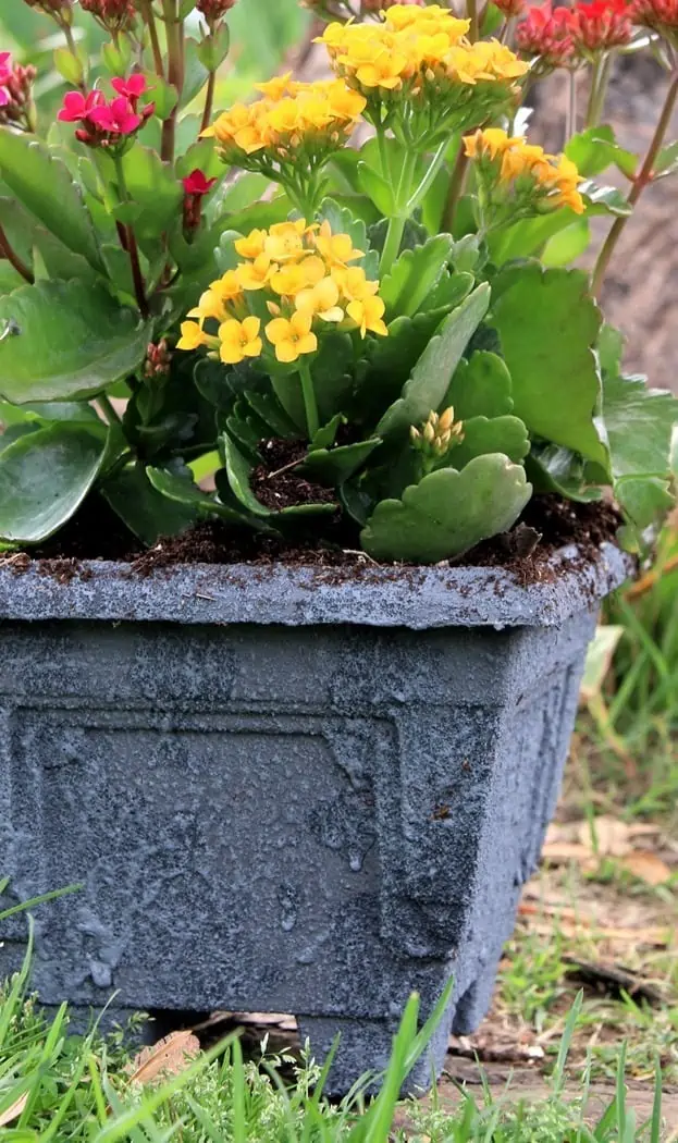 DIY a plastic pot to look like gray granite or concrete