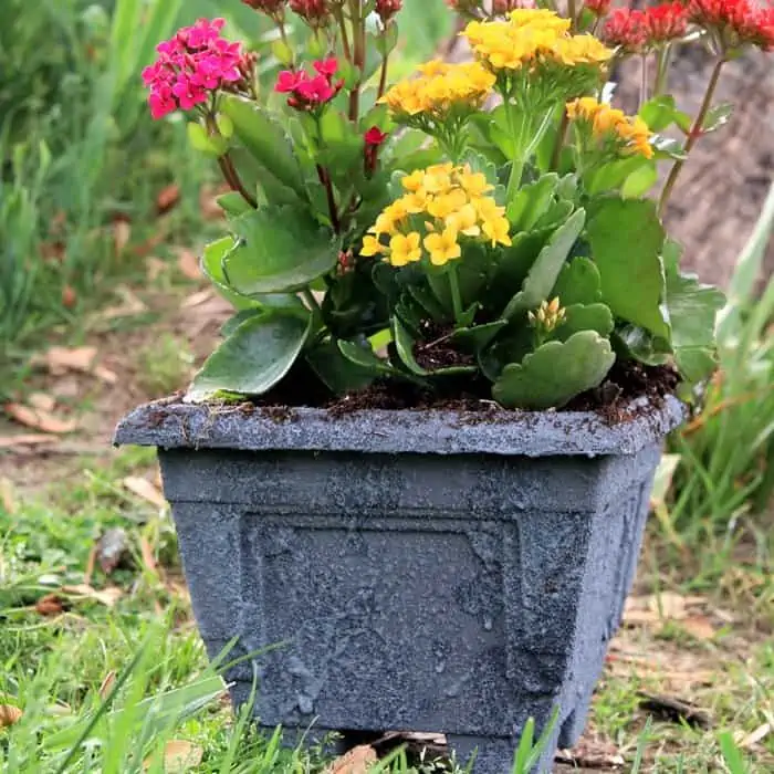 How To Make A Plastic Flower Pot Look Like Granite