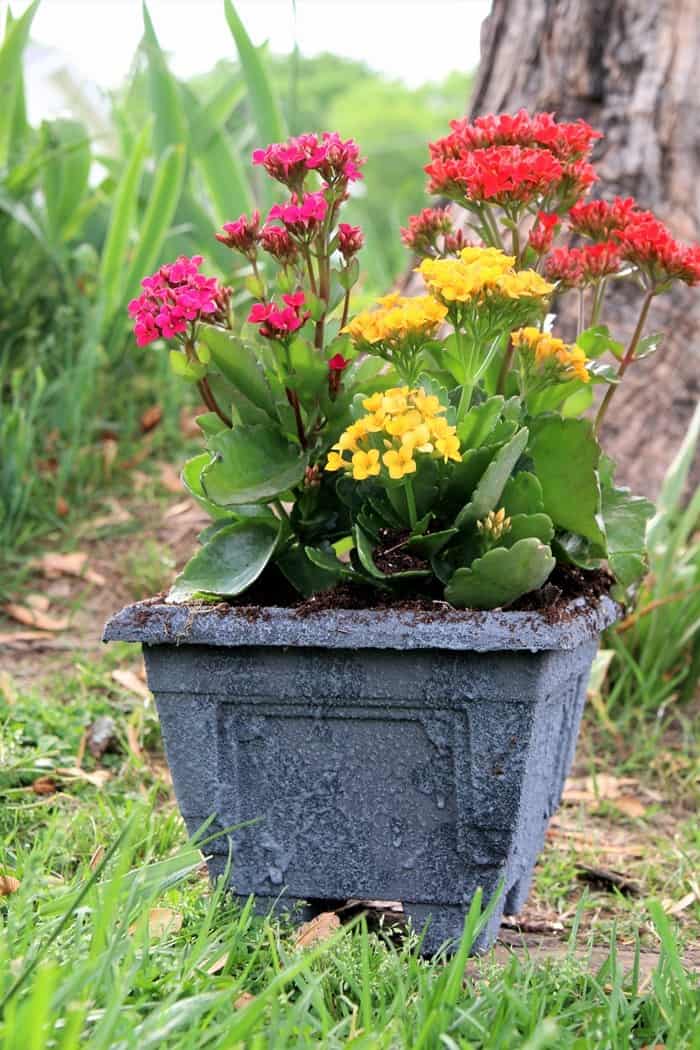 make a plastic flower pot look like old granite with a rough texture using sand and paint