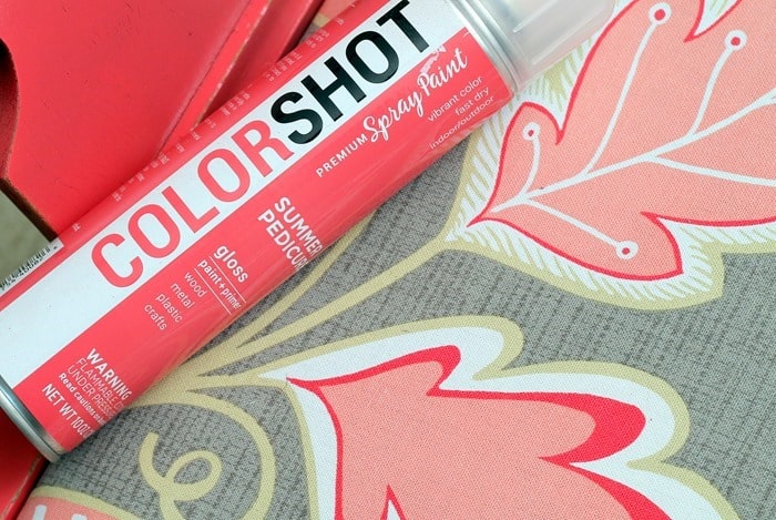 ColorShot premium spray paint color Summer Pedicure in a Gloss Finish
