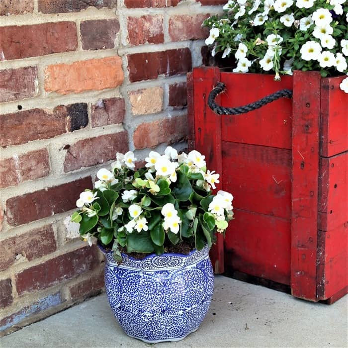 blue and red flower pot ideas