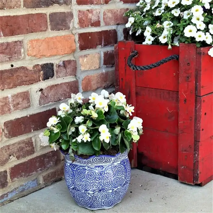 blue and red flower pot ideas