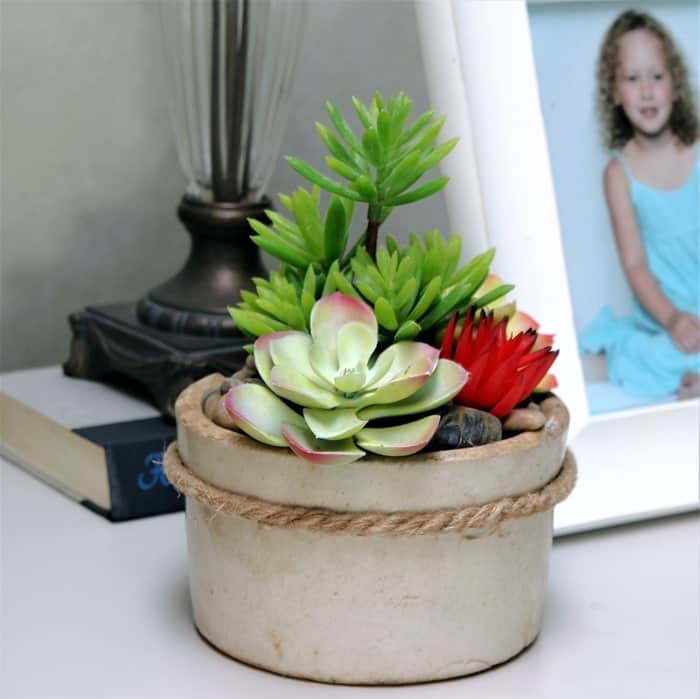wrap an old crock with sisal rope and fill with succulents