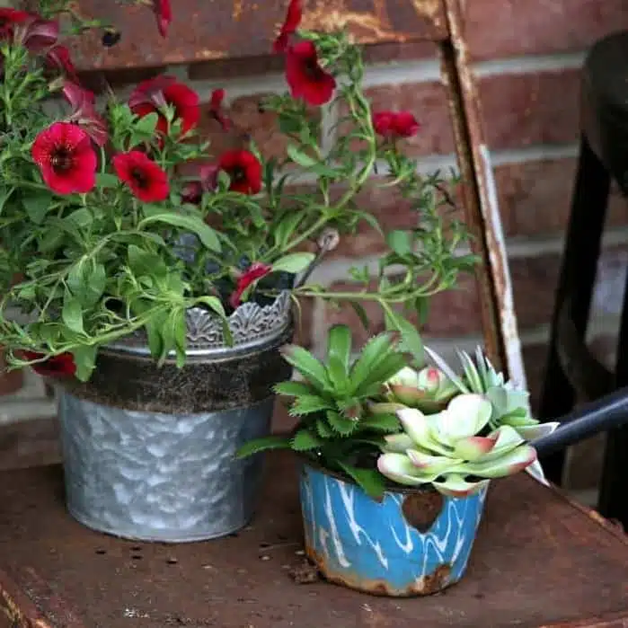 repurposed water dipper flower planter idea