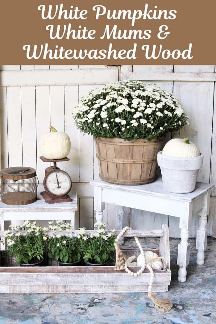 How to decorate for Fall with whites and neutal colors using Mums Pumpkins and whitewashed wood