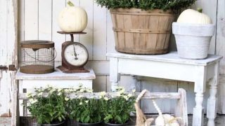 Dry brush wood stools white and use them to display white pumpkins and white mums for Fall