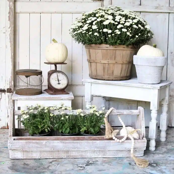 dry brush white wood stools to dispaly white pumpkins and white mums for Fall