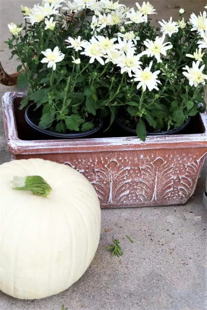 porch decorations with pumpkins and mums for Fall
