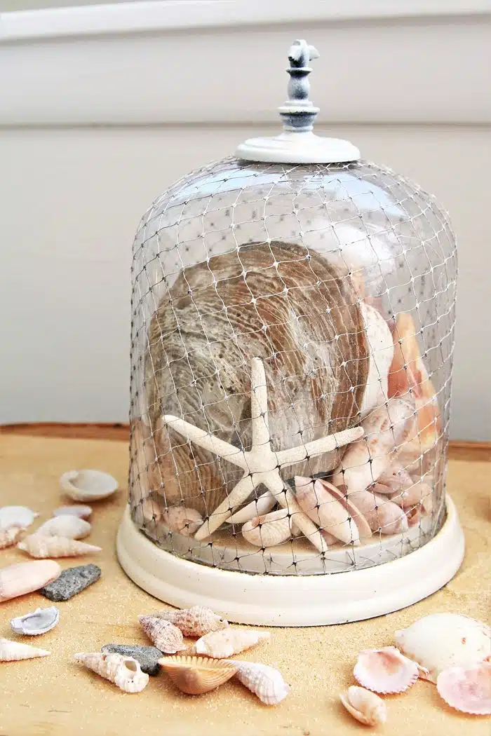 Coastal Decor, How to create a net covered cloche filled with seashells