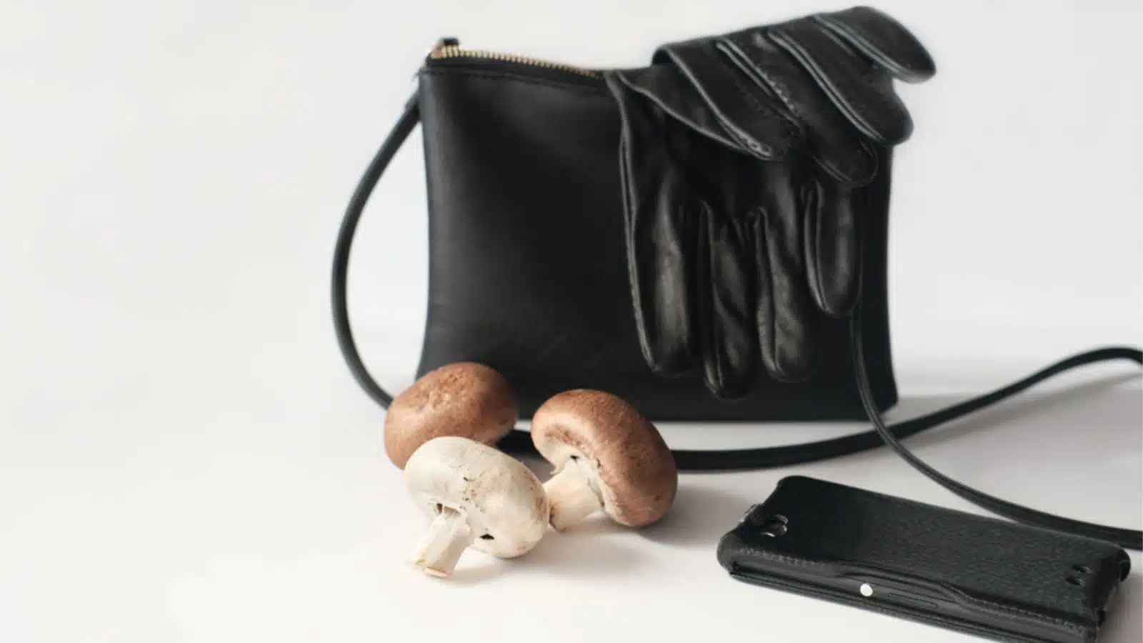 bag, gloves and phone case made of mycelium leather. vegan alternative leather. mushroom fiber textile as innovative eco material for apparel and accessories.