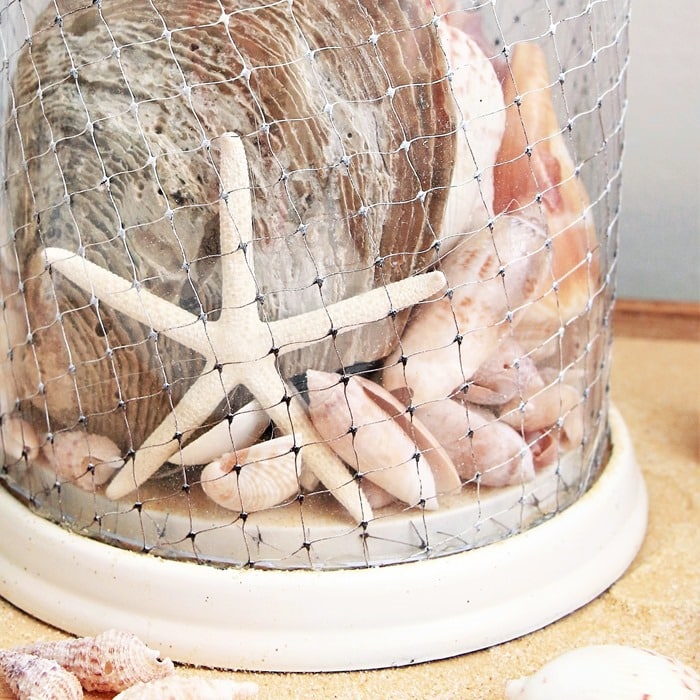 beach style cloche filled with seashells and starfish (2)