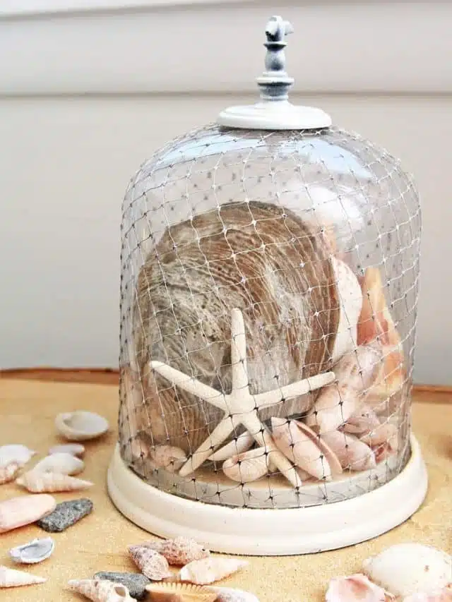 Coastal Decor: How to create a net covered cloche filled with seashells