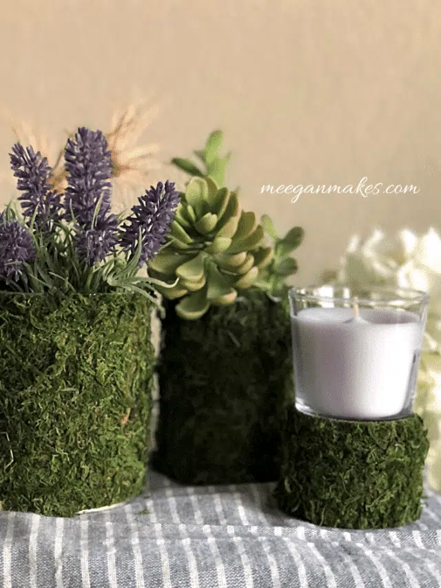 diy moss candle holders