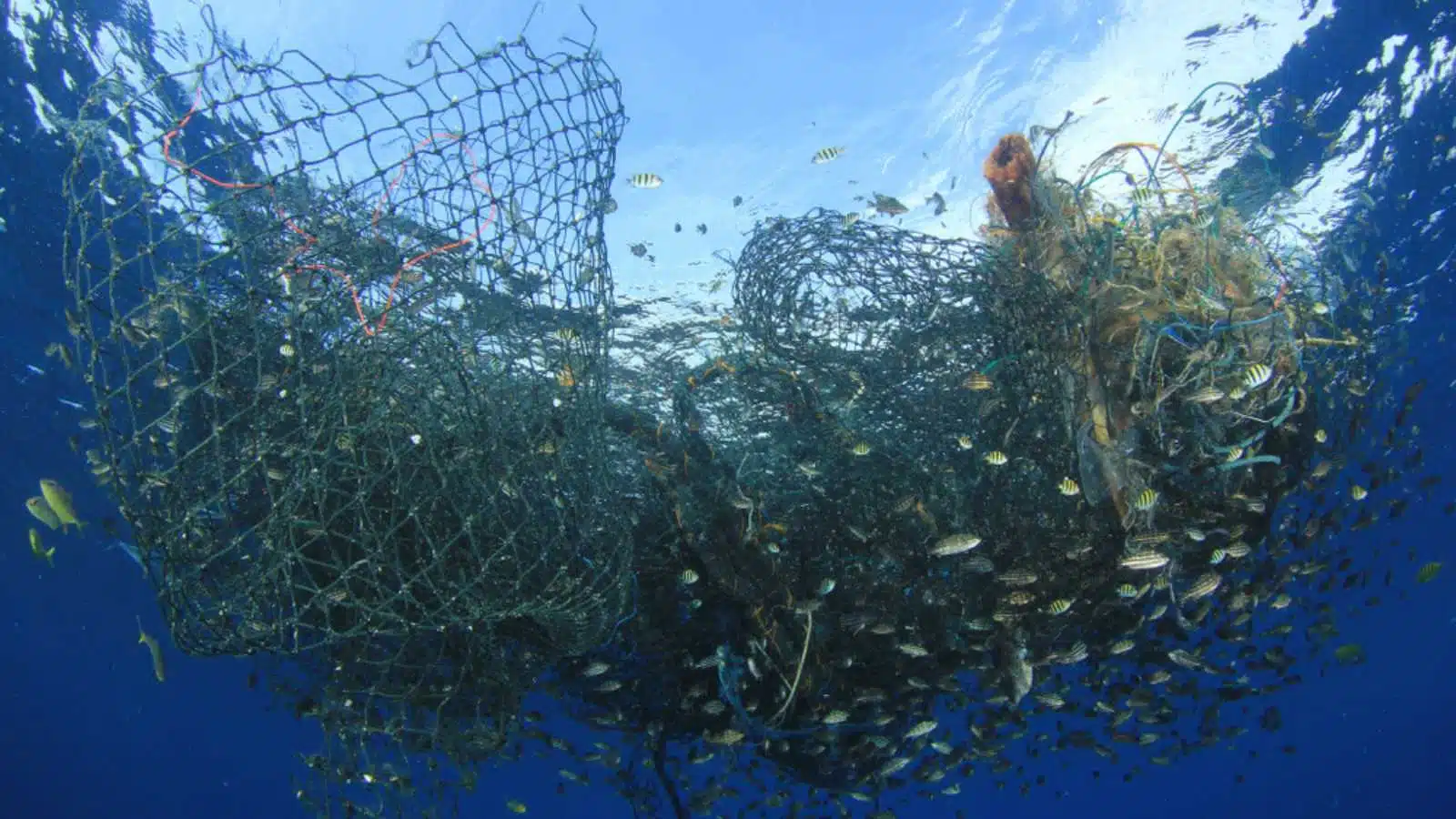 Abandoned fishing net. Ghost net environmental ocean pollution