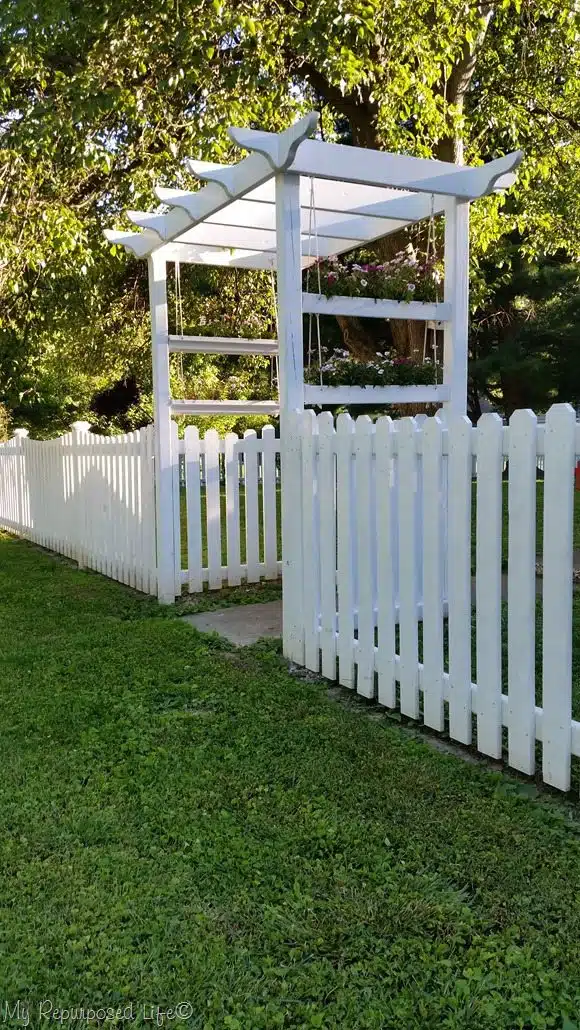 Fence and Pergola photo from My Repurposed Life