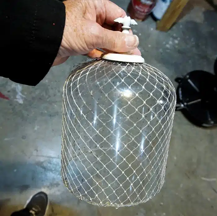 net covered glass cloche