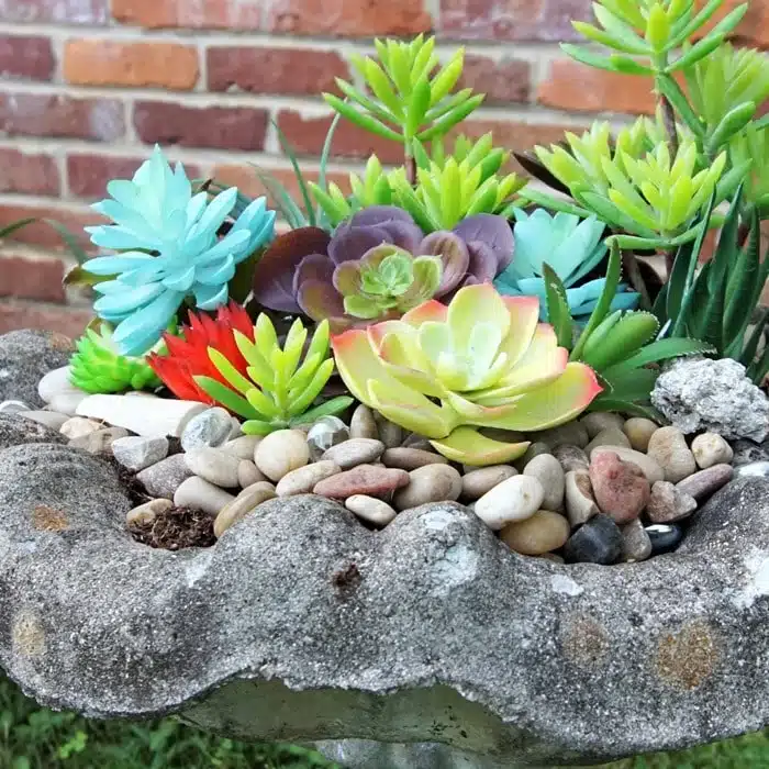 artificial succulents bird bath display idea