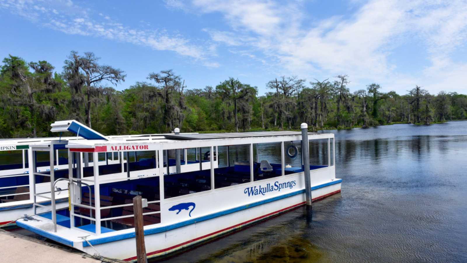 WAKULLA SPRINGS, FLORIDA, USA - APRIL 2, 2016 A world class cave diving destination, the Edward Ball Wakulla Springs State Park is located near Tallahassee. Boat tours are popular with visitors.
