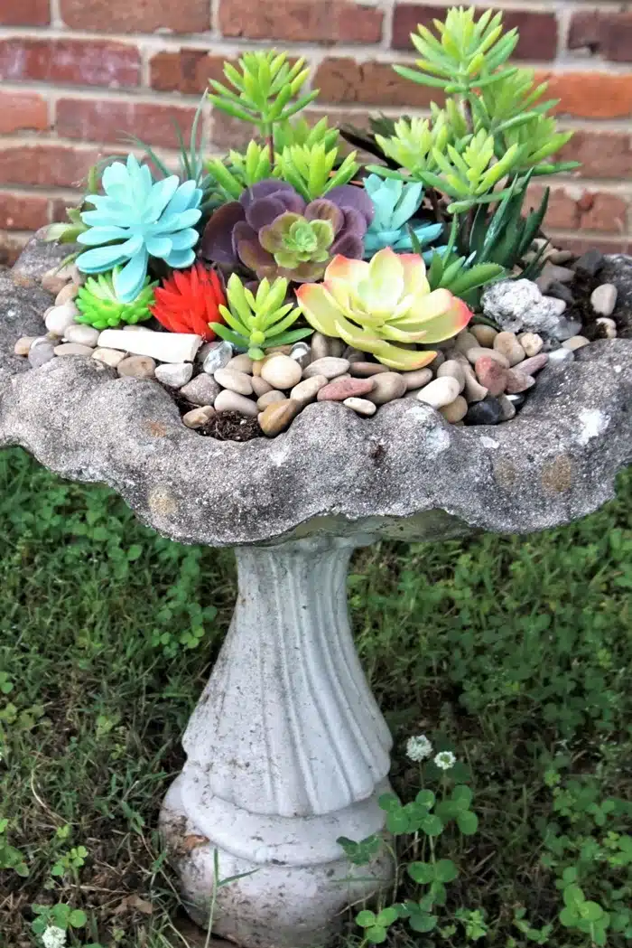 artificial succulents in a concrete bird bath look real (2)