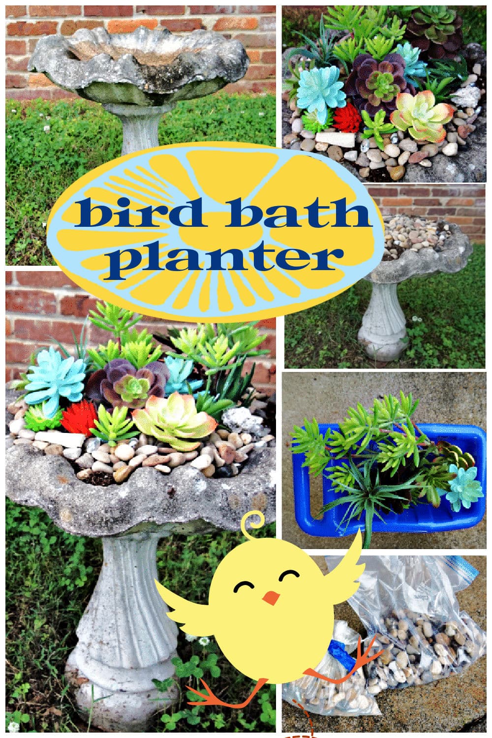 Upcycled bird bath used as a succulent planter filled with real or faux succulents, creating a charming garden centerpiece.