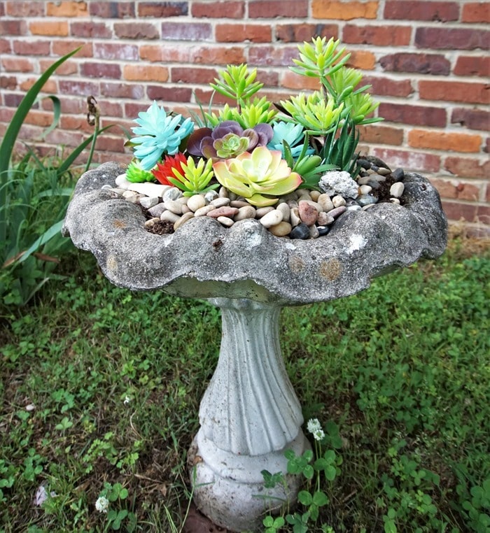 concrete bird bath filled with artificial succulents