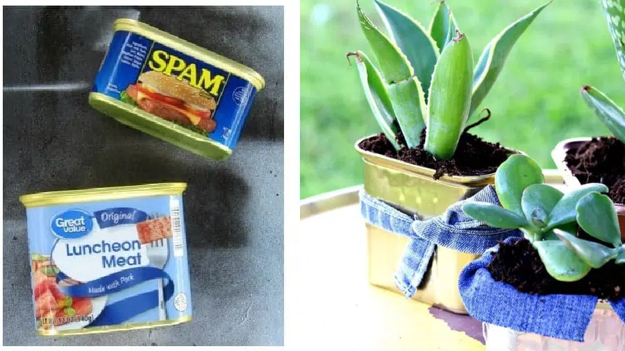 spam cans and plastic food containers repurpose idea