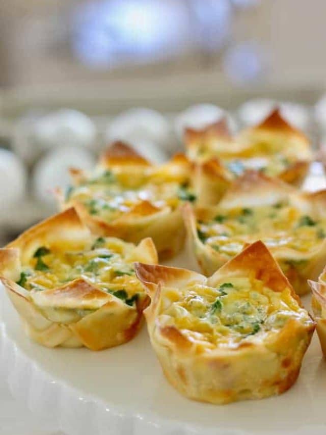 wonton quiche appetizers