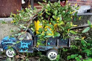 old toy truck used as a flower pot