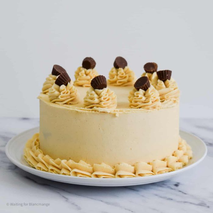 reeses-cake-700x700.jpg