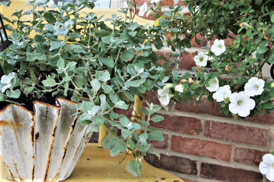 unique upcycled Summer flower container unique upcycled Summer flower containers