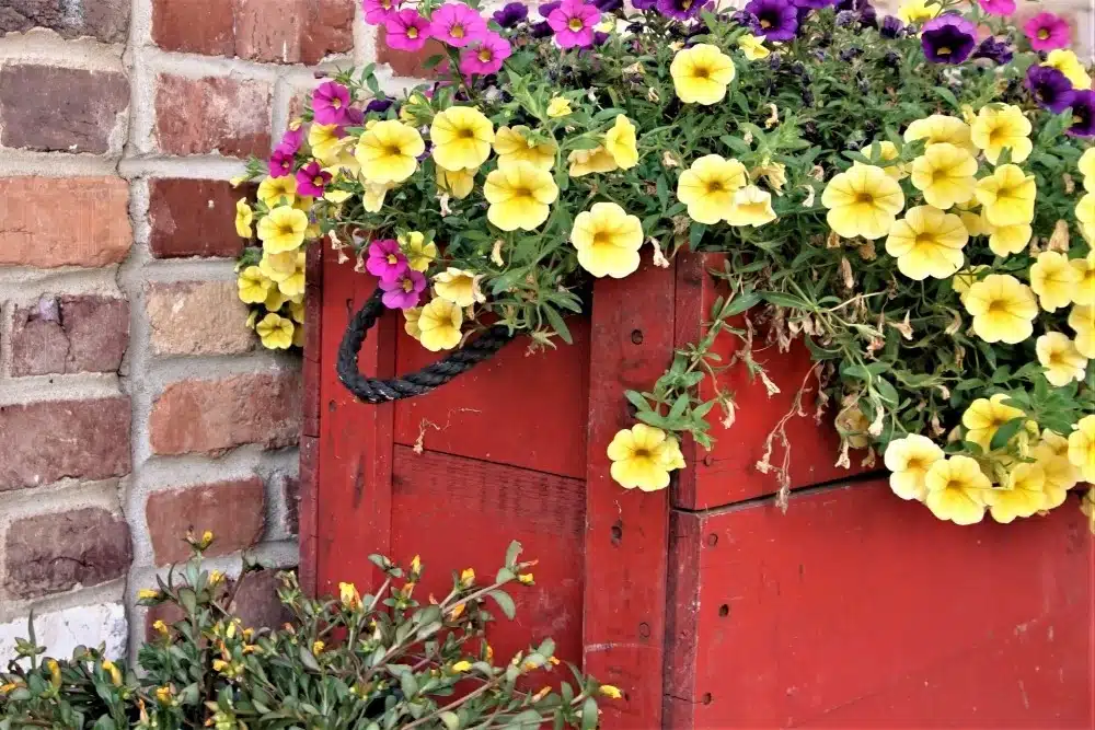 unique upcycled Summer flower containers (6)