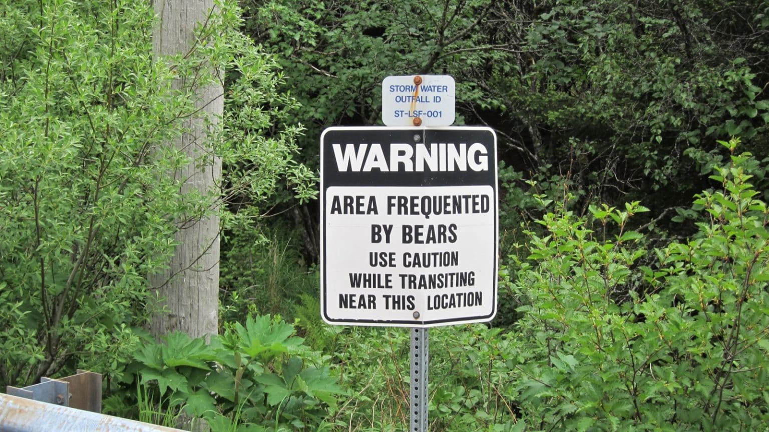 Beware of Bears on Kodiak Island Beware of Bears on Kodiak Island