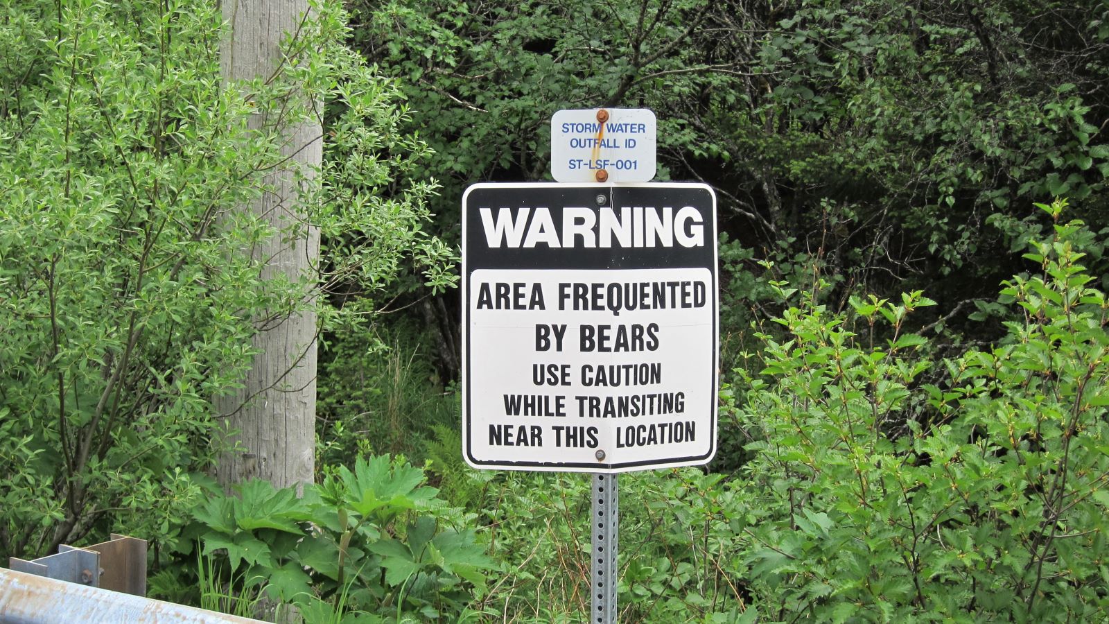 Beware of Bears on Kodiak Island