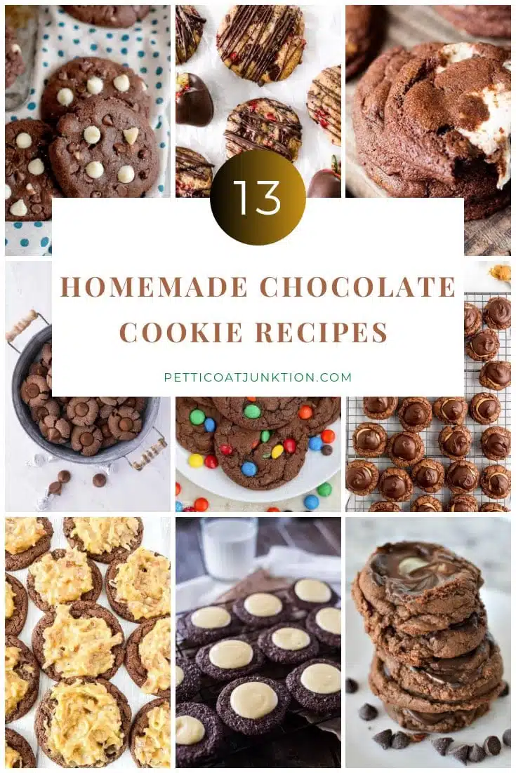 13 Homemade Chocolate Cookies Including Copycat Crumbl Dirt Cake Cookies
