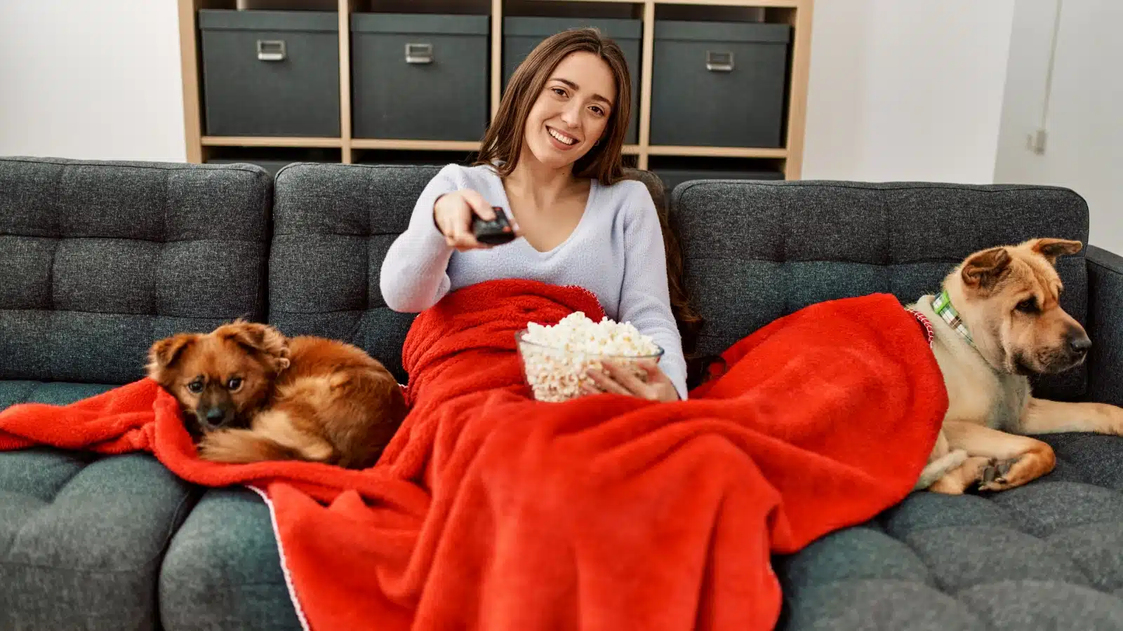 cozy blankets with mom and dog.