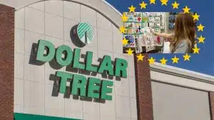 Dollar Tree Store and Sofi