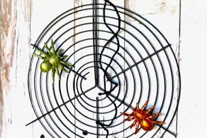 grill spider web