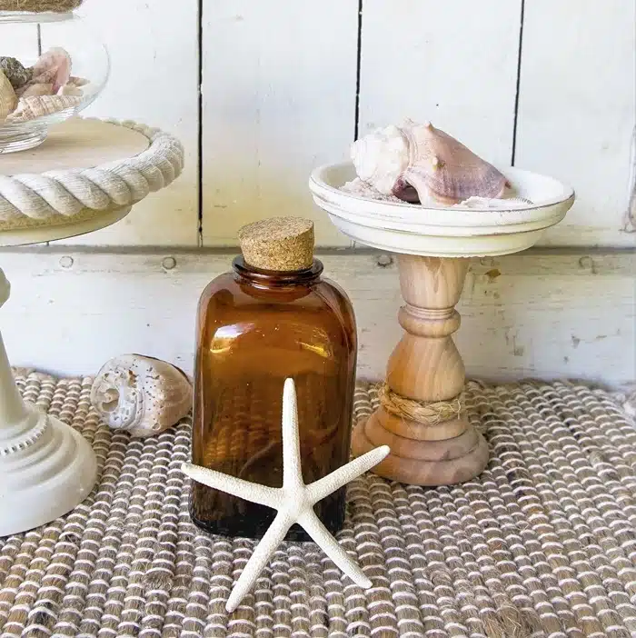 starfish and seashell decor