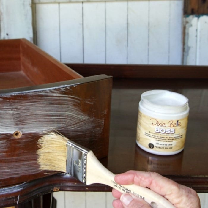 Boss product from Dixie Belle