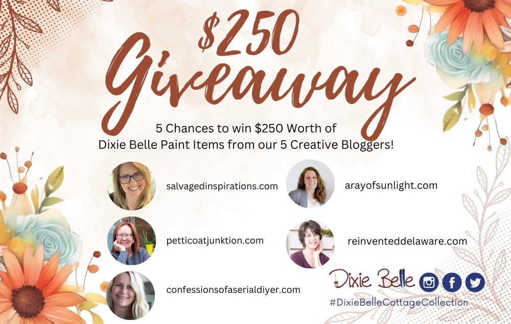 Dixie Belle Giveaway on 5 blogs