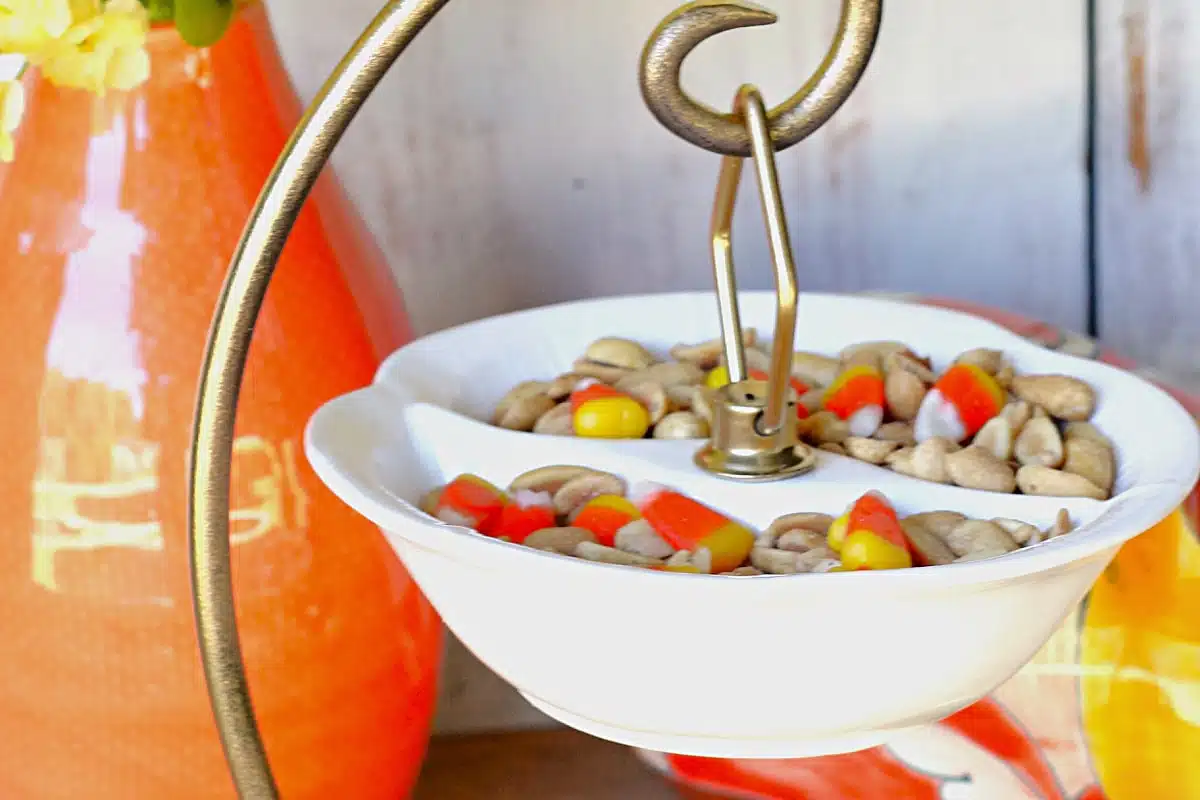 Thrifty Upcycle Idea: Hanging Dish For Candy Corn And Salted Peanuts