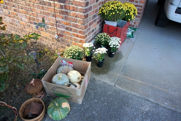 decorate for Fall with mums and pumpkins