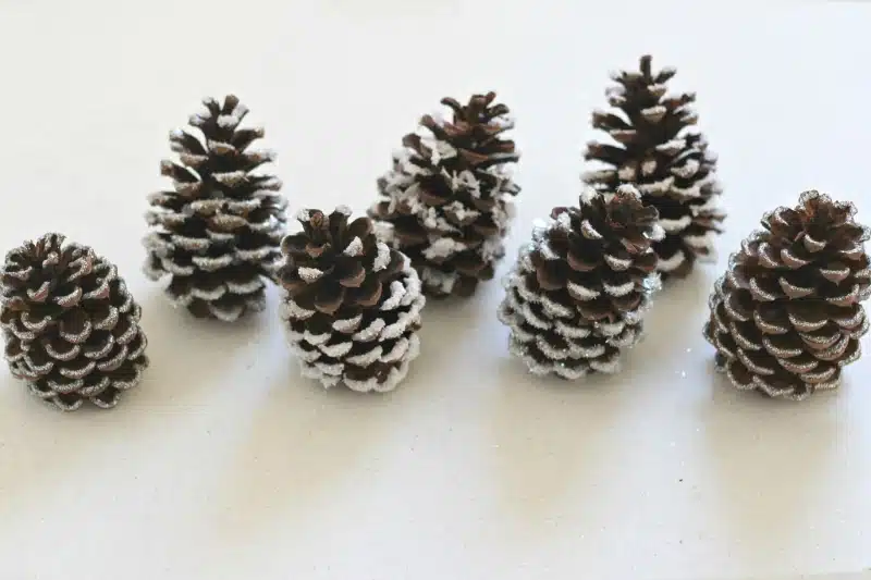 Epsom Salts Pine Cones