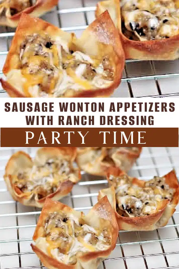 sausage wonton appetizers 1