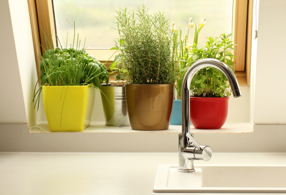 herb pots on kitchen window sill